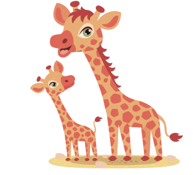 baby-giraffe