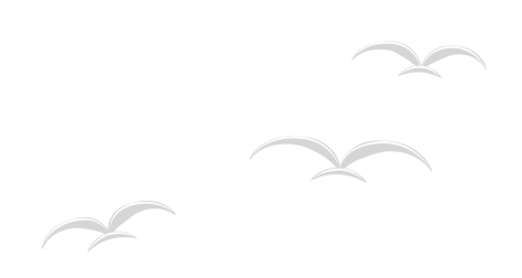 bird-group