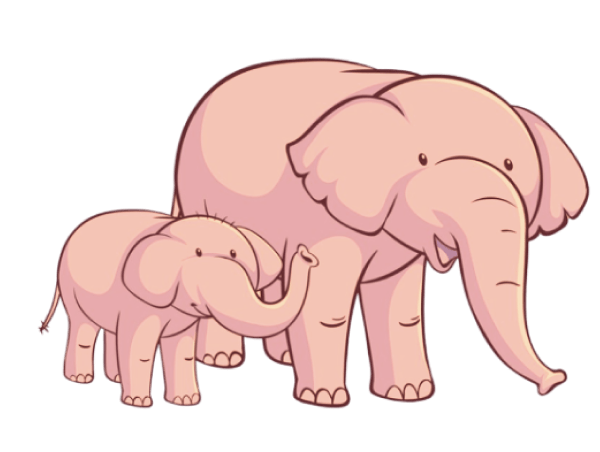 home-elephant-articles