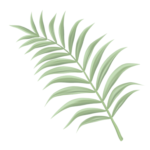 palm-leaf
